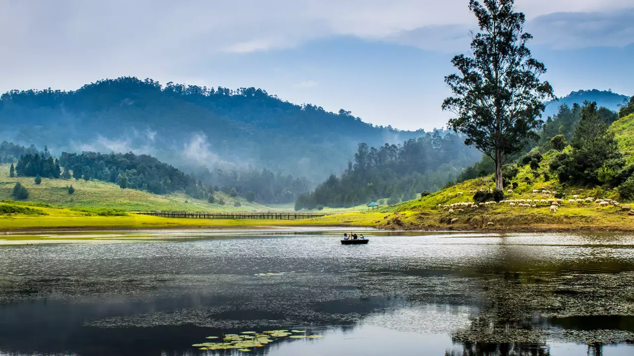 Planning A Trip To Kodaikanal? Places To Visit And Travel Tips