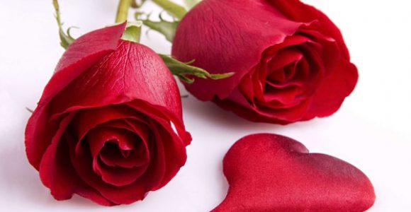 Happy Rose Day Images with wishes Quotes