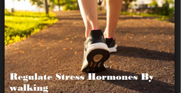 Reduce Stress in Busy lifestyle with this Excellent Lifestyle Hacks