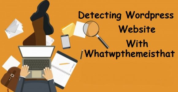 How to detect WordPress themes & Plugins with Whatwpthemeisthat?