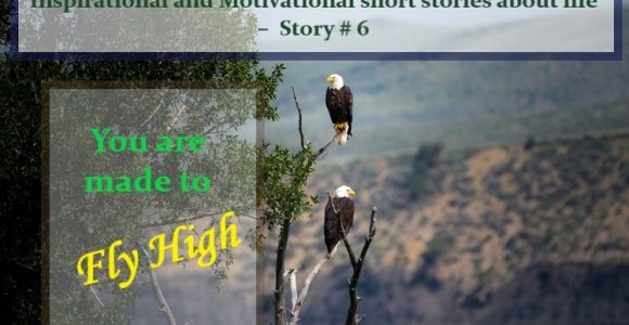 Inspirational and Motivational short stories about life – You are made to Fly High (Story # 6) | Invajy