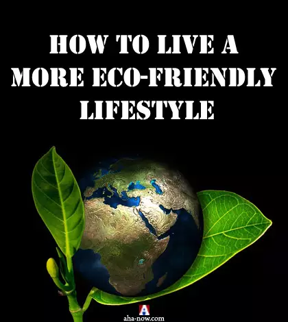 How to Live a More Eco-Friendly Lifestyle