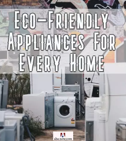 Eco-Friendly Appliances For Every Home