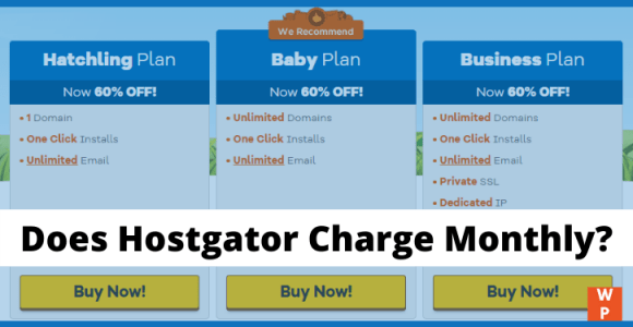 Does Hostgator Charge Monthly or All At Once? (All Monthly Plans)