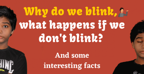 Why do we blink and what happens if we don't blink?