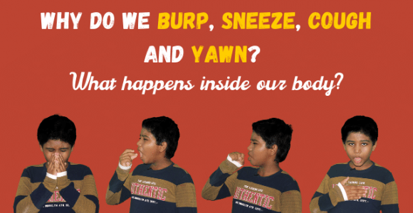 The science of burp, sneeze, cough and yawn? What happens inside our body?