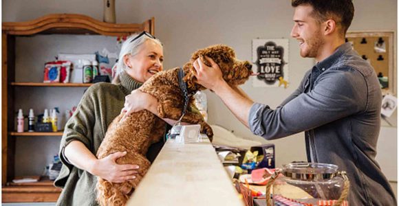 What to Look for in a Quality Pet Store