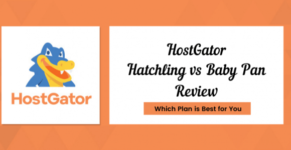 Hostgator Hatchling vs Baby Plan Review | Which Plan You Need To Buy?