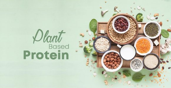 Plant Based Proteins