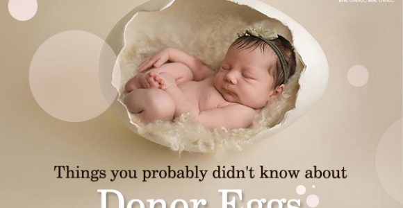Things You Probably Didn’t Know About Donor Eggs