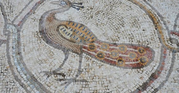 Charming Birds Mosaic Designs