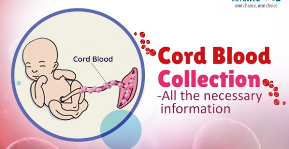 Cord Blood Collection – All the Necessary Information