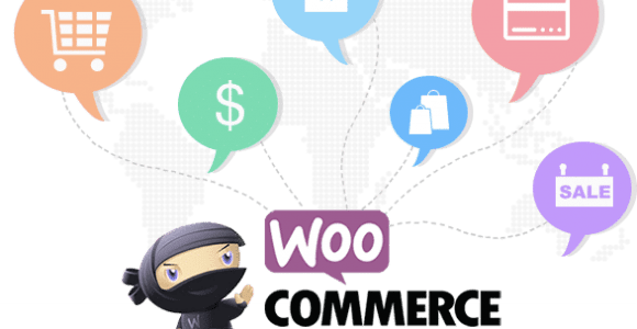 Hire WooCommerce Developer, from top 1% developer