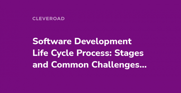 Software Development Life Cycle [An Extensive Guide]