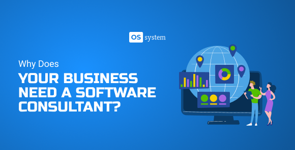 Software Development Consulting – Your Business Need It?