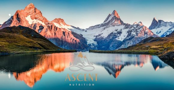 Ascent Nutrition – Nutritional Supplements Online Store