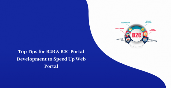 Top Tips for B2B and B2C Portal Development to Speed Up Web Portal
