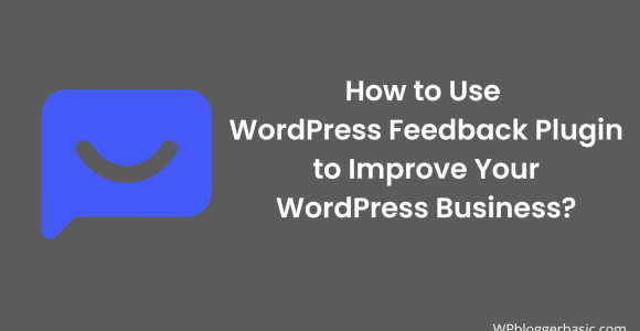 How to Use WordPress Feedback Plugin to Improve Your WP Business?