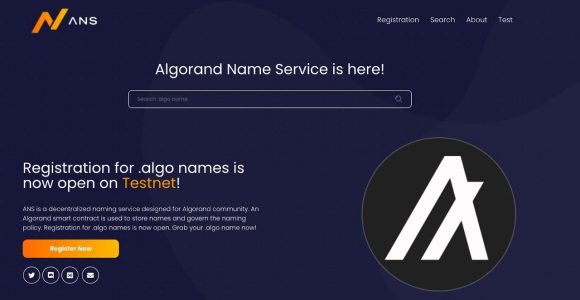 Algorand Name Service- How To Register Algo Domain Name » Bulliscoming