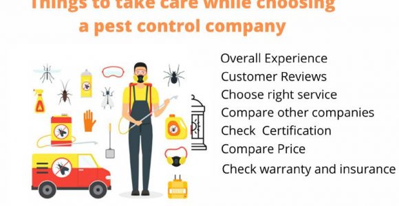 Things to take care while choosing a pest control company
