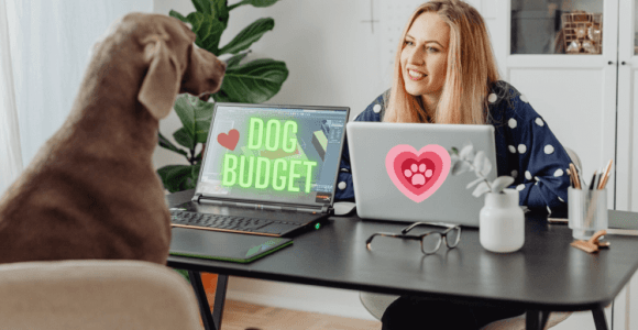 Creative Ways To Cut Dog Expenses. Easy! 