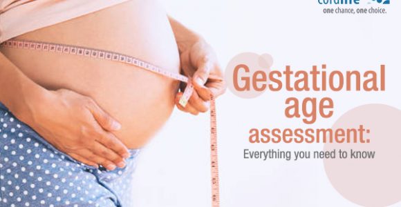 Gestational Age Assessment: Everything You Need To Know