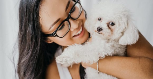 Is A Dog Home Allergy Test Worth The Money?